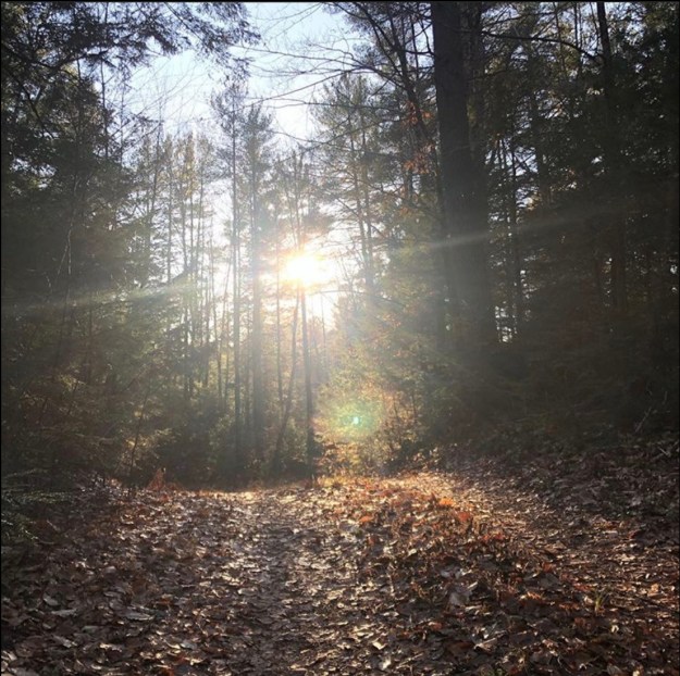 668F004B-A921-4BCF-8929-DA99A52C4F1A