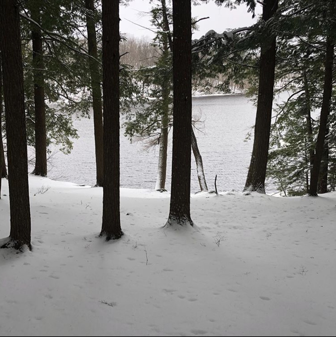 85C369D5-A76F-4FBC-95B7-5215BDFBC476